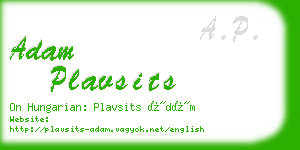 adam plavsits business card